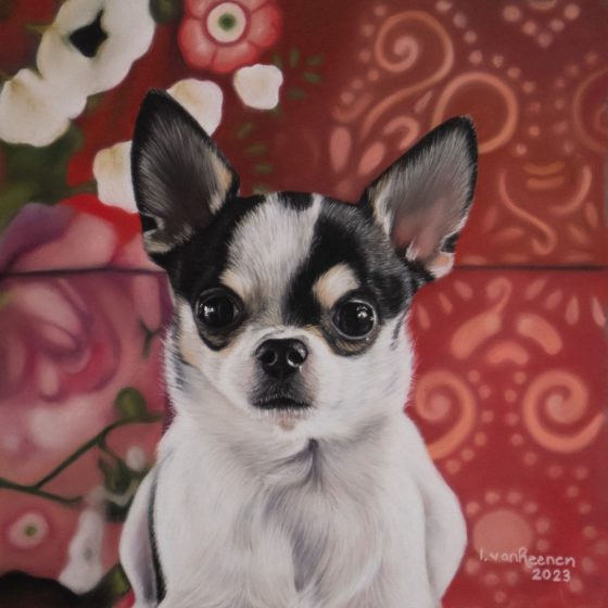 Ingrid vanReenen Scotty 8x8