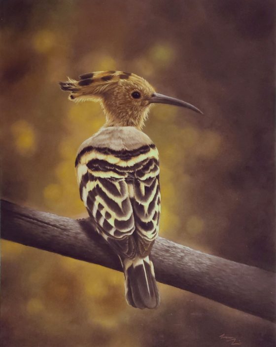 Keri Fisher Hoopoe 14x11
