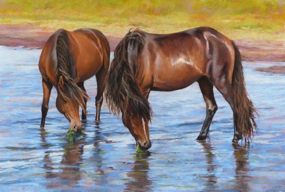 Heather Law Animal Award - Joan Larson - "Lunch Time"