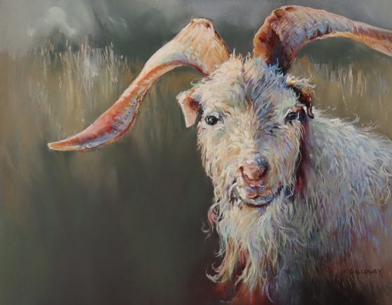Honourable Mention- Rosemary Galloway - "Edgar"