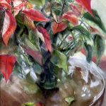 Red poinsettia on a wooden table in the sunlight