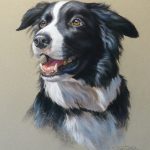 Portrait painting of a black and white border collie