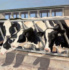 Adrian Soegandi - Gentle and Curious - 14 x 14