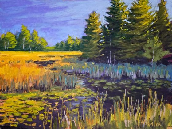 Honourable Mention - Maria Iva - Sunlit Wetlands