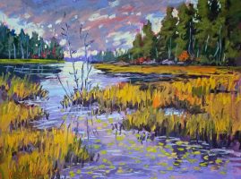 Maria Iva - Twilight Marsh - 12 x 16