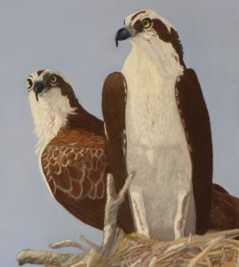 Mary Flatt - Lovers Key Sentinels - 11x14