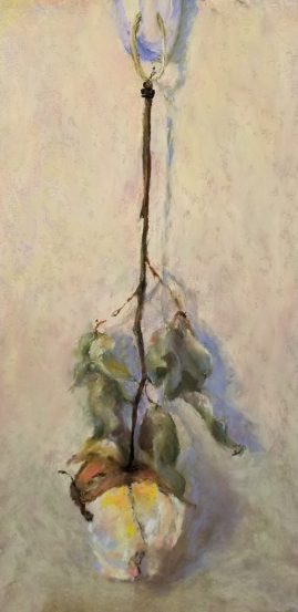 Michele Carlino Tamane - Still Life - 6.25 x 13