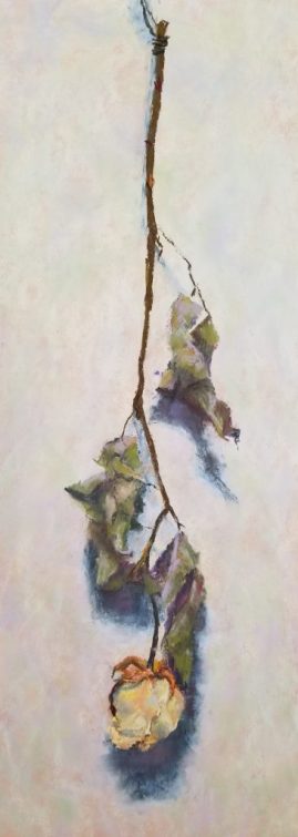 Michele Carlino Tamane - Still Life 2 - 6 x 17