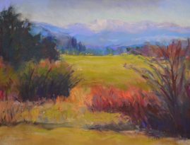 Nanci Cook - Comox Valley Fields - 8.5 x 10.5