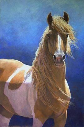 Joan Larson - Wild - 18x12