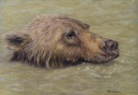 Brenda Matsen - Kodiak Cooldown - 13 x 9