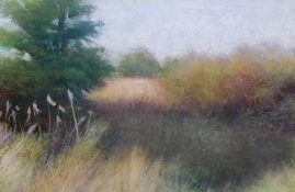 ŁUKASZ WILCZAK - POND - 16 x10