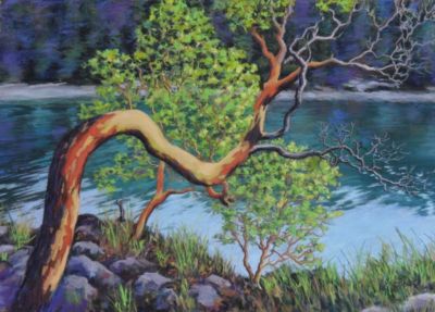 Frate,Grace-RoeslandTree-12x16