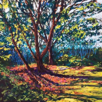 Mather,Sheila-LittleArbutus-12x12