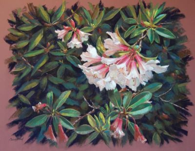 BouffardBeth-Emergence-19.5x25.5