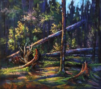 BoyerJoyce-ForestWonderland-10X12