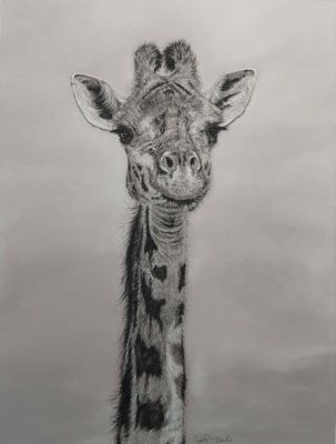 Clarke,Crystal-StretchAndSee-14x12