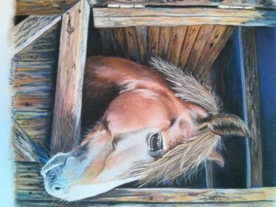 Hansen,Bernie-Charlotte-9X12