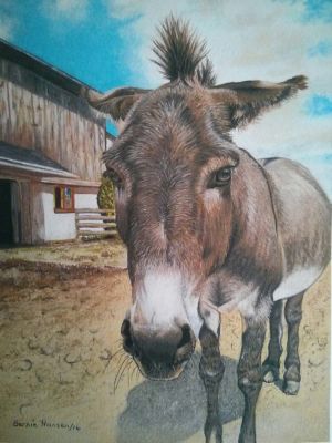 Hansen,Bernie-DonkeySanctuary-8X11