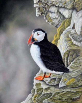 Huggin,Rona-Puffin,RefMGibbons-8X10Inches