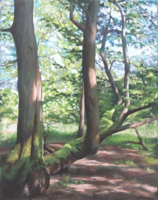 Mcdonnell,Donna-IfATreeFallsInTheForest-14x11