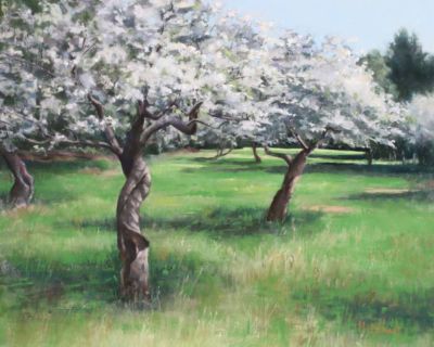 Mcdonnell,Donna-Orchard,HornbyIsland-16x20