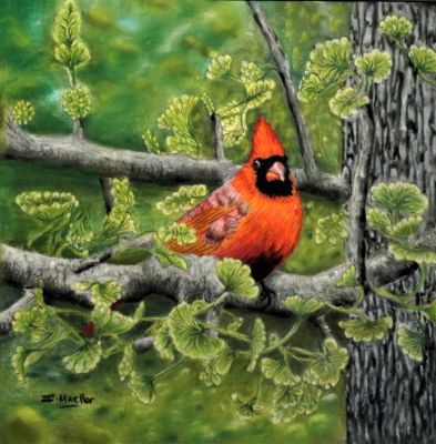 Mueller,Ingrid-Cardinal-11x11