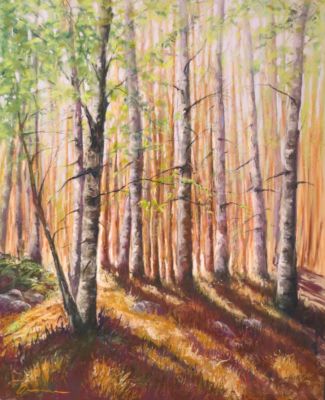 Nonomura.Denise-ForestLight-20x16