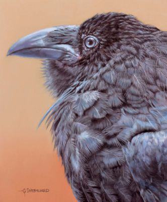 Sheppard,Catherine-CreatorOfLegends-12X10