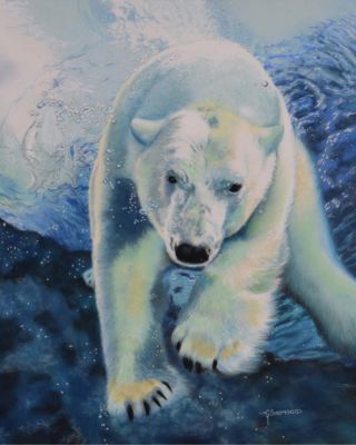 Sheppard,Catherine-PolarBearPlunge-22X17