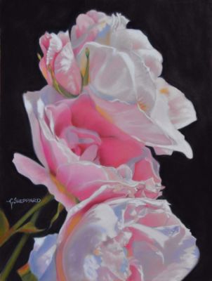 Sheppard,Catherine-RoseStack-12X9