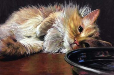 Typert,Susan-TheCatDiet-9x14