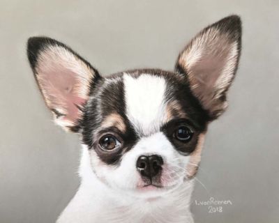 VanreenenIngrid-Brooks-8X10