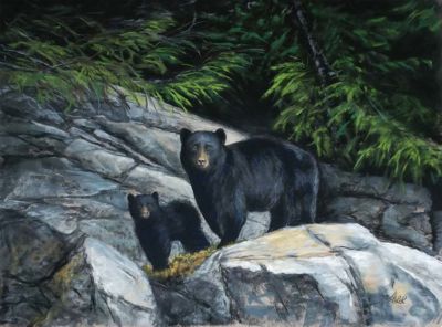 Wallace,Lucy-InTheWild-12x16