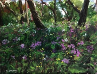 Cathy Lorraway