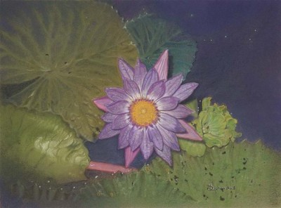 Deborah Stephen