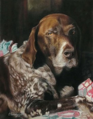 Jo Ranocchia, Baron, 11x14