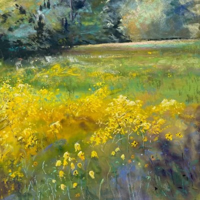 Fred_Fielding-Wild-daisies-16x20