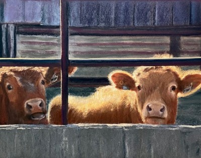 John-Root-Curious-Cows-Cox-Creed-Rd-11x14 
