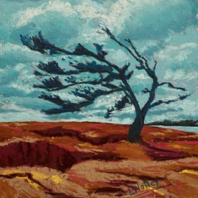 Louise-Notley-The-Tree.-Killbear-Provincial-Park-8x8
